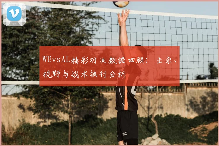 WEvsAL精彩对决数据回顾：击杀、视野与战术执行分析