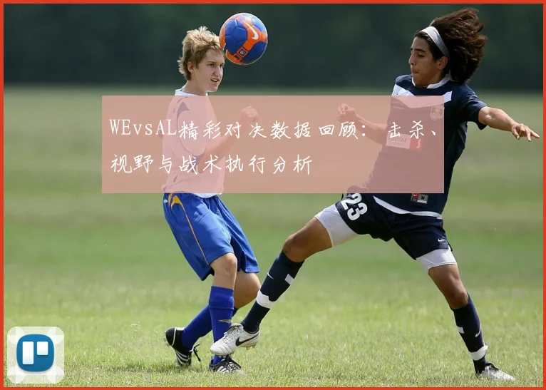 WEvsAL精彩对决数据回顾：击杀、视野与战术执行分析