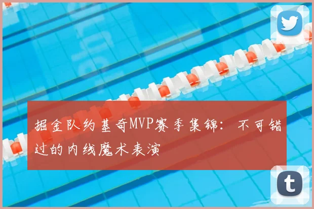 掘金队约基奇MVP赛季集锦：不可错过的内线魔术表演